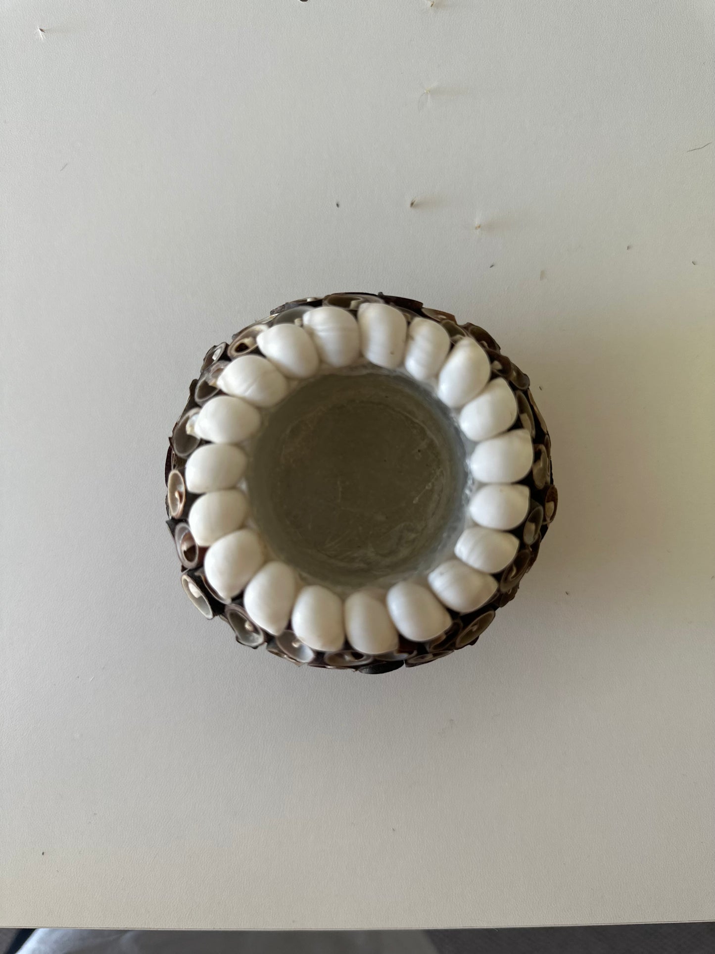 Dark Spiral Shell Tealight Holder