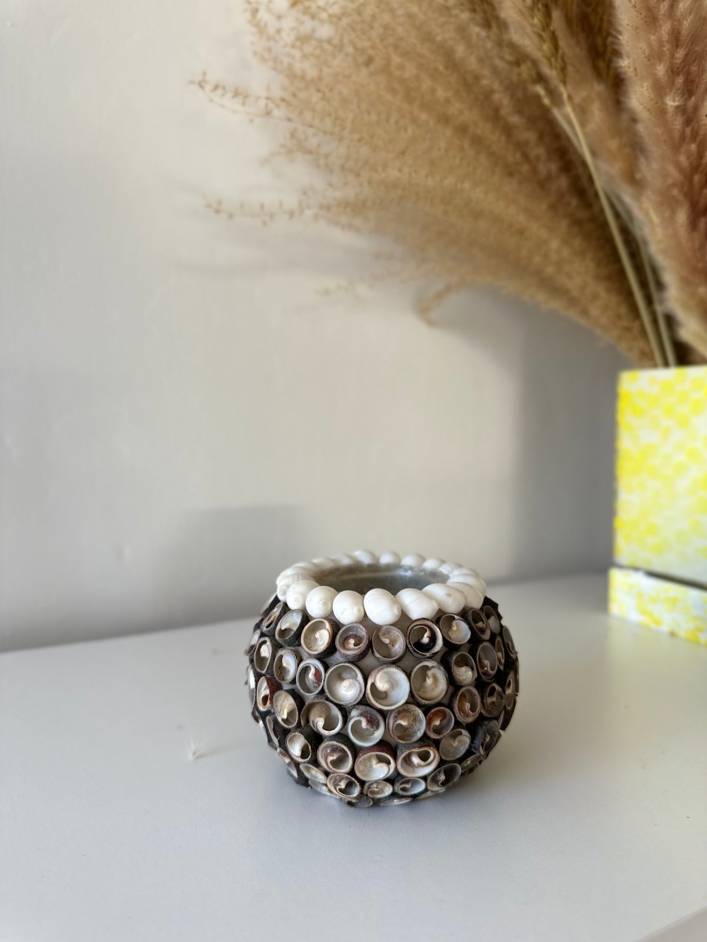 Dark Spiral Shell Tealight Holder