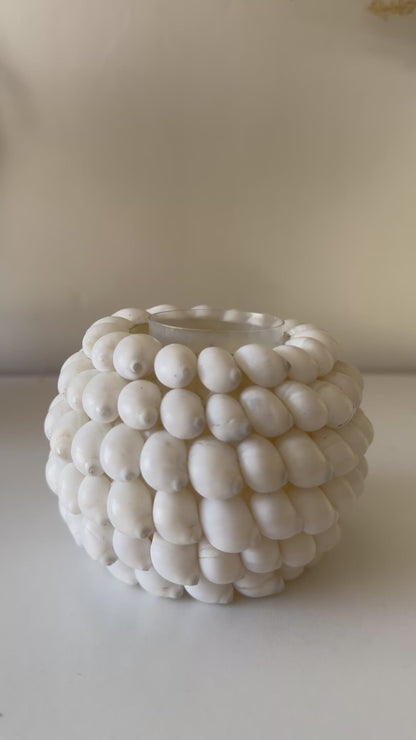 White Shell Tealight Holder
